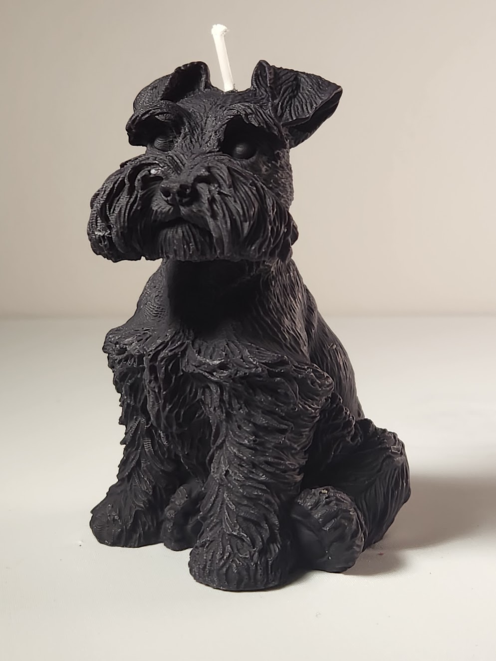 Bougie chien terrier écossais