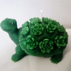 Bougie tortue verte