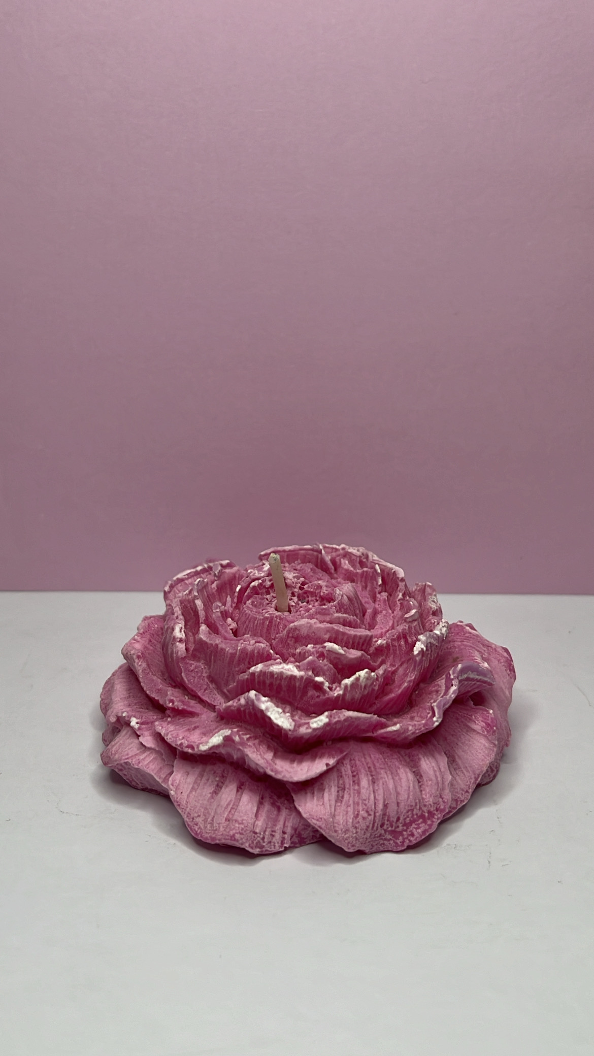 Bougie Fêtes des Mères : Camélia Rose et Blanc – Image 1