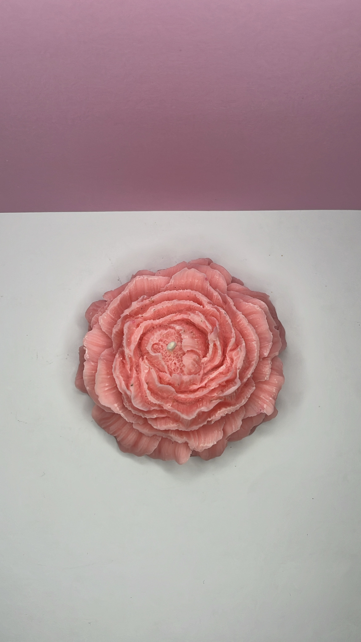 Bougie Fêtes des Mères : Camélia Rose pâle – Image 2