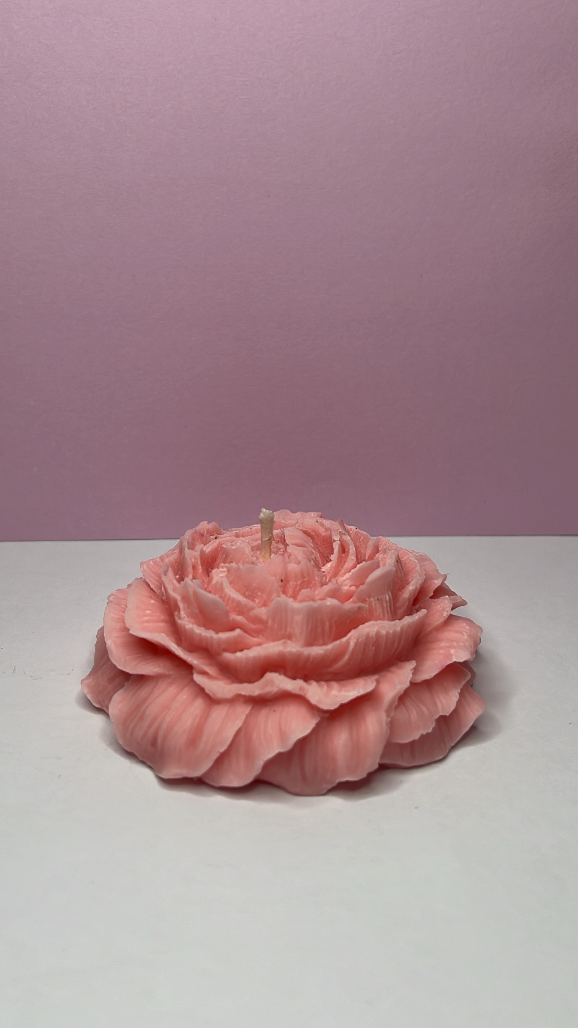 Bougie Fêtes des Mères : Camélia Rose pâle – Image 1
