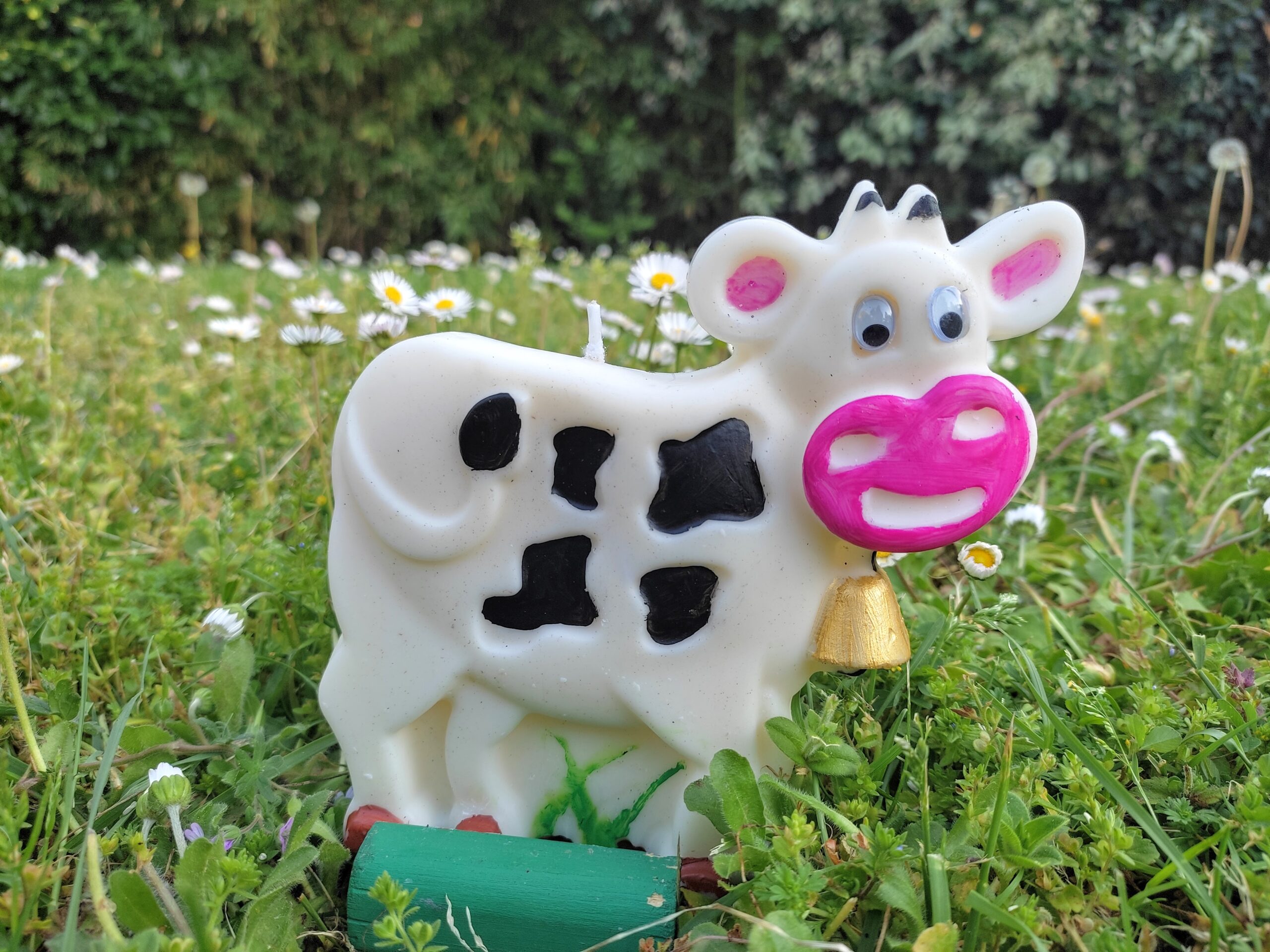 Bougie vache