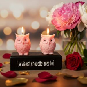 Duo de bougies chouettes en cire sur socle bois avec message La vie est chouette avec toi.